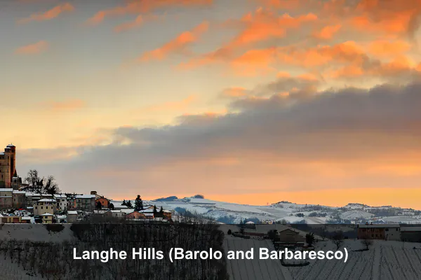Langhe Hills (Barolo and Barbaresco)