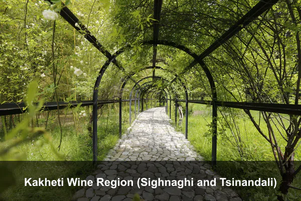 Kakheti Wine Region (Sighnaghi and Tsinandali)