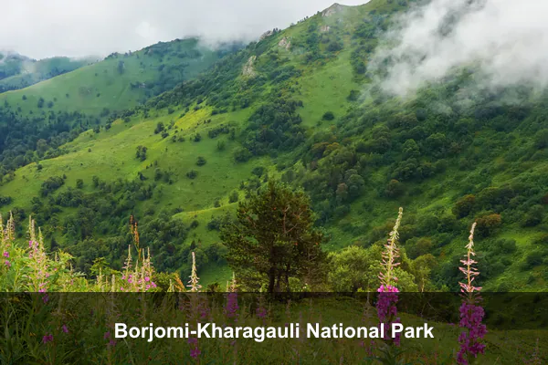 Borjomi-Kharagauli National Park