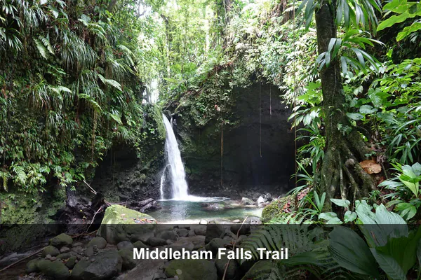 Middleham Falls Trail
