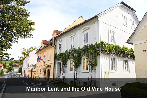 Maribor Lent and the Old Vine House