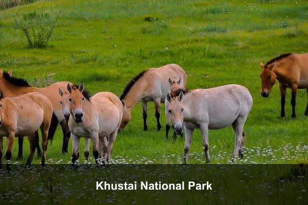 Khustai National Park