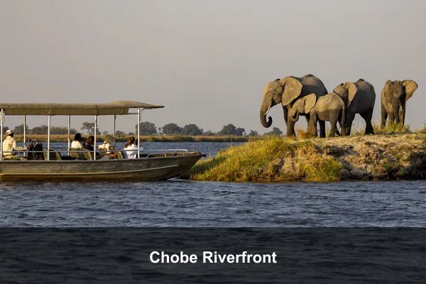 Chobe Riverfront