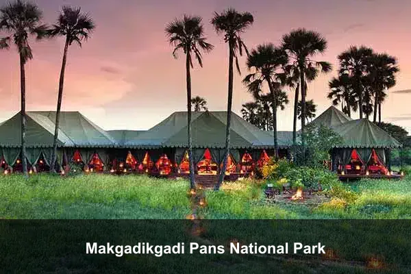 Makgadikgadi Pans National Park