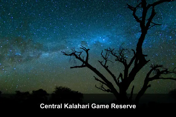 Central Kalahari Game Reserve