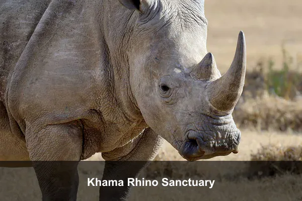 Khama Rhino Sanctuary