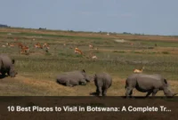 10 Best Places to Visit in Botswana: A Complete Travel Guide
