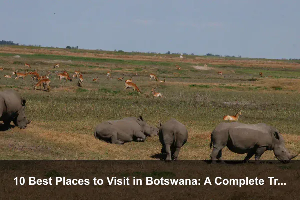 10 Best Places to Visit in Botswana: A Complete Travel Guide