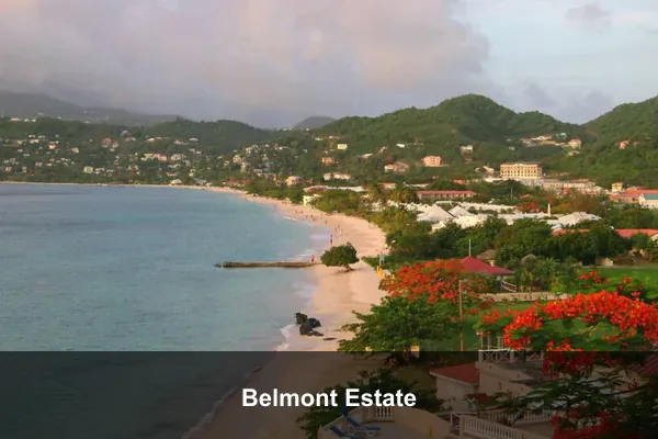 Belmont Estate
