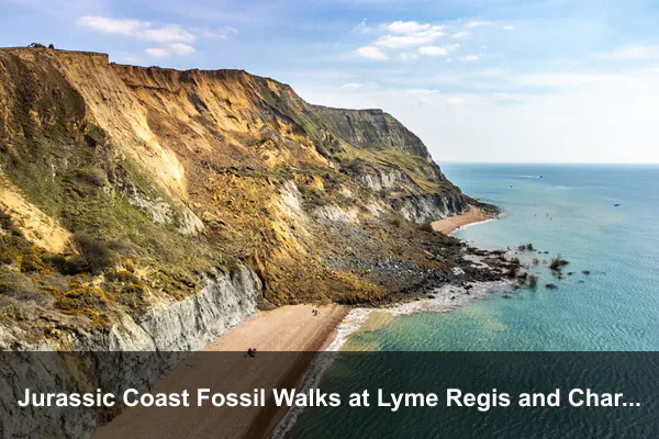 Jurassic Coast Fossil Walks at Lyme Regis and Charmouth