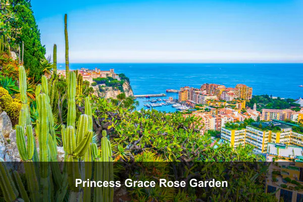 Princess Grace Rose Garden