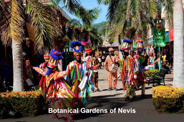 Botanical Gardens of Nevis