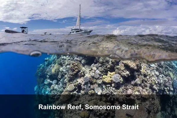 Rainbow Reef, Somosomo Strait