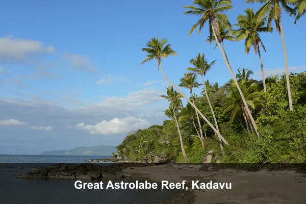 Great Astrolabe Reef, Kadavu