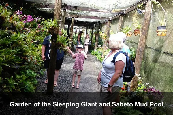 Garden of the Sleeping Giant and Sabeto Mud Pool