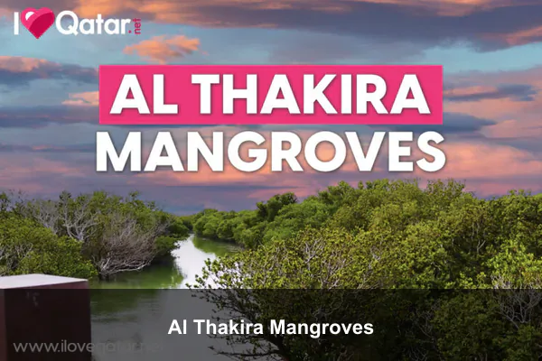 Al Thakira Mangroves