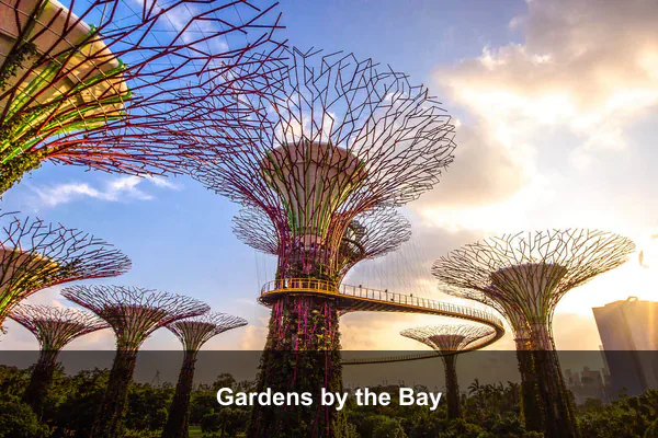 Gardens by the Bay