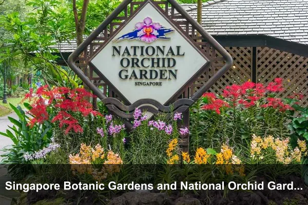 Singapore Botanic Gardens and National Orchid Garden
