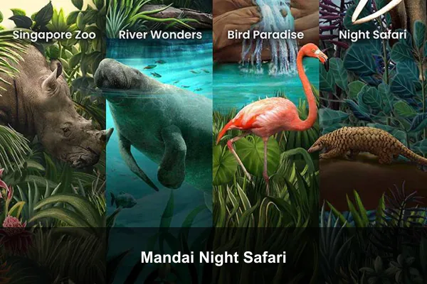 Mandai Night Safari