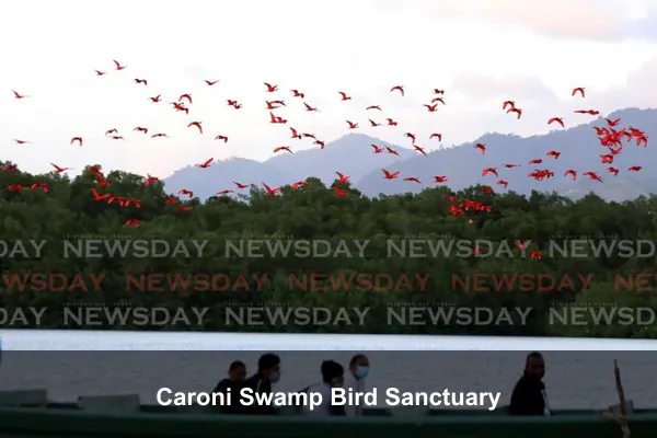 Caroni Swamp Bird Sanctuary