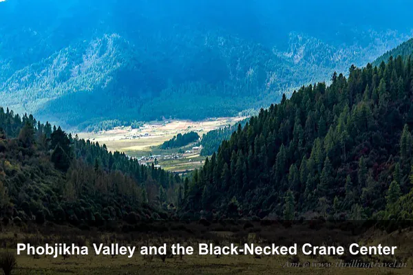 Phobjikha Valley and the Black-Necked Crane Center