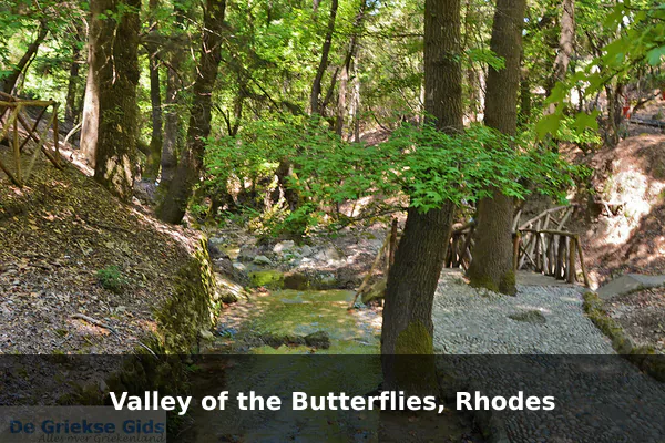 Valley of the Butterflies, Rhodes