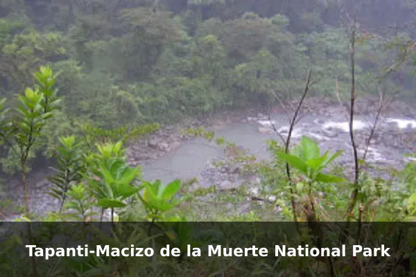 Tapanti-Macizo de la Muerte National Park