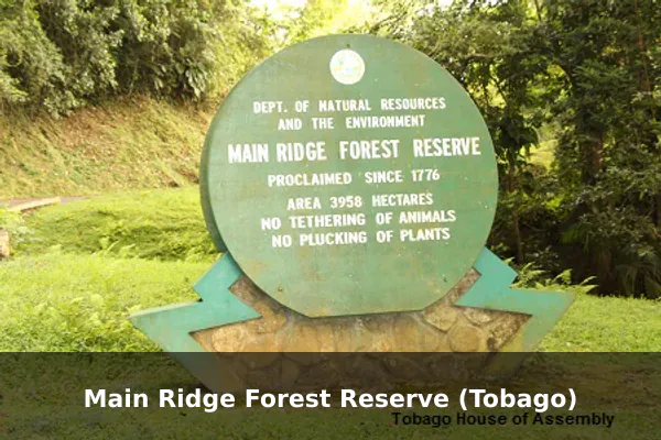 Main Ridge Forest Reserve (Tobago)