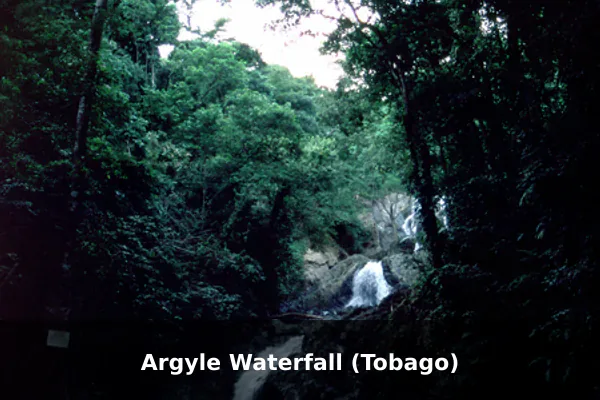 Argyle Waterfall (Tobago)