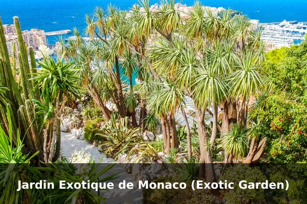 Jardin Exotique de Monaco (Exotic Garden)