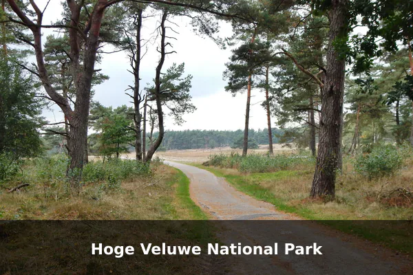 Hoge Veluwe National Park