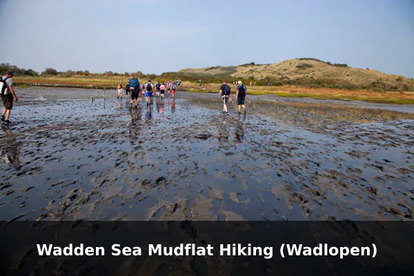 Wadden Sea Mudflat Hiking (Wadlopen)