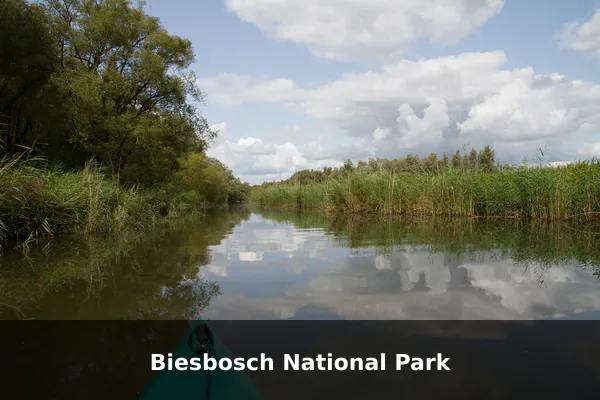 Biesbosch National Park