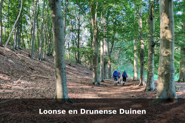Loonse en Drunense Duinen