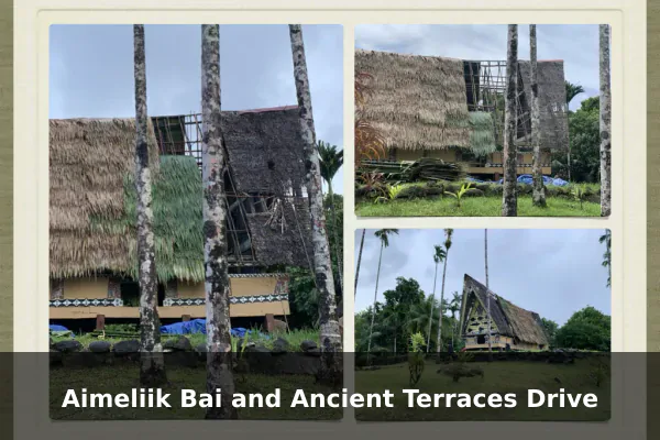 Aimeliik Bai and Ancient Terraces Drive