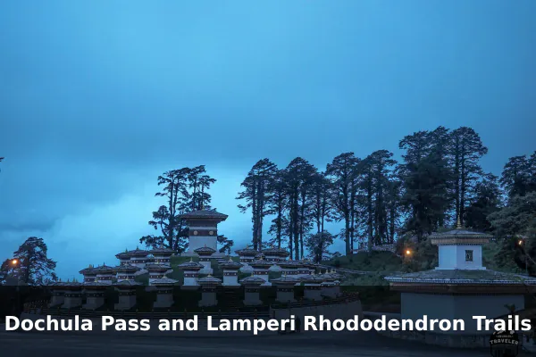 Dochula Pass and Lamperi Rhododendron Trails
