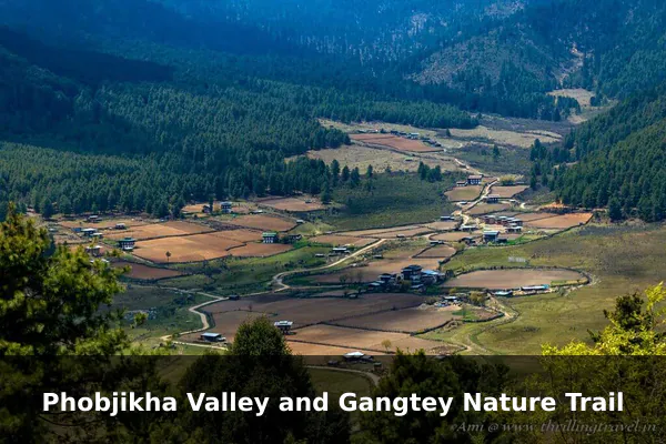 Phobjikha Valley and Gangtey Nature Trail