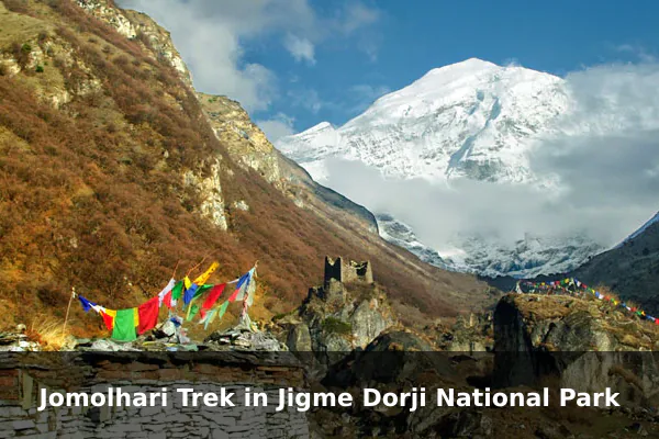 Jomolhari Trek in Jigme Dorji National Park