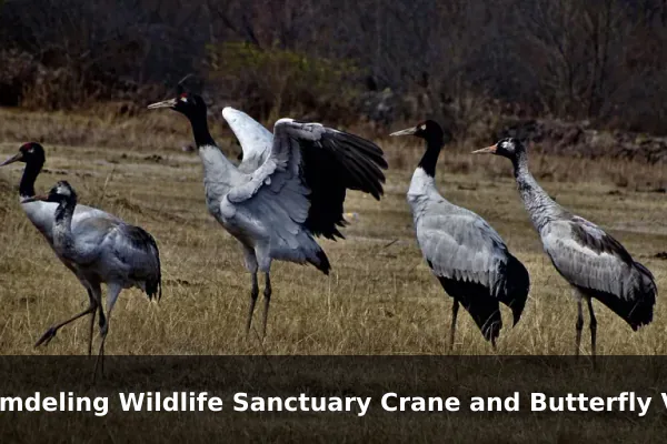 Bumdeling Wildlife Sanctuary Crane and Butterfly Valleys