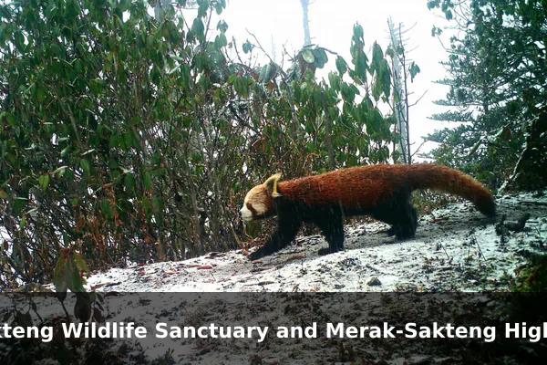 Sakteng Wildlife Sanctuary and Merak-Sakteng Highlands
