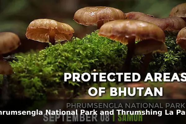 Phrumsengla National Park and Thrumshing La Pass