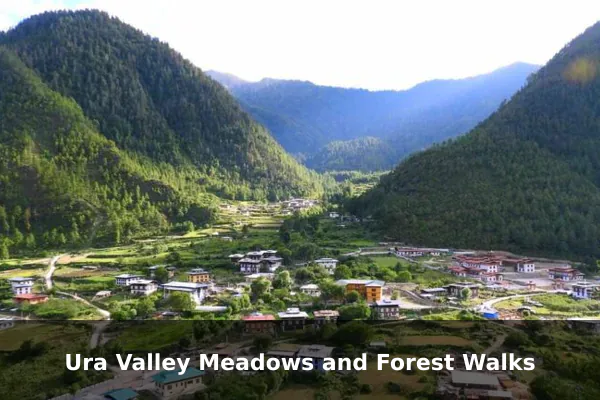 Ura Valley Meadows and Forest Walks