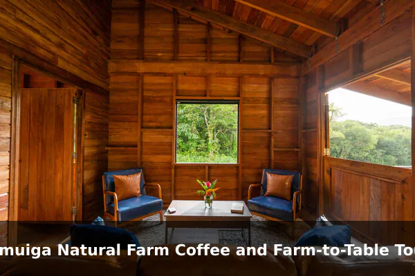 Liamuiga Natural Farm Coffee and Farm-to-Table Tour