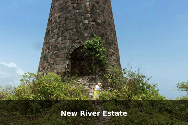 New River Estate