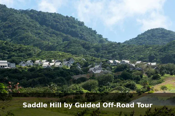 Saddle Hill by Guided Off-Road Tour