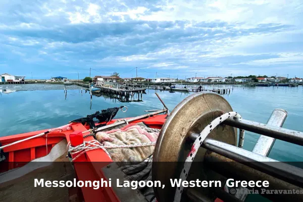 Messolonghi Lagoon, Western Greece