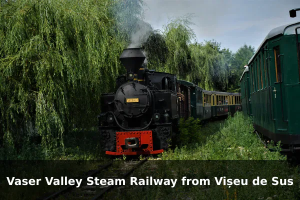 Vaser Valley Steam Railway from Vișeu de Sus