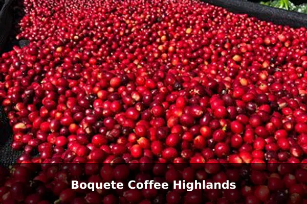 Boquete Coffee Highlands