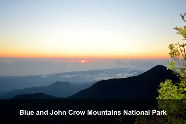 Blue and John Crow Mountains National Park