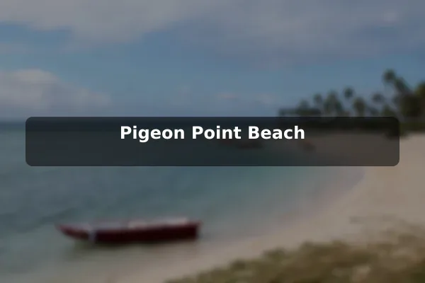Pigeon Point Beach